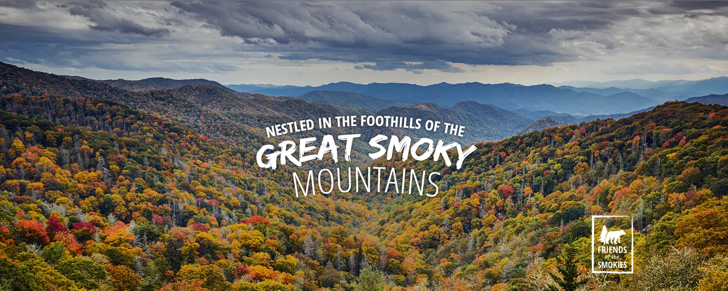 Brookside Lodge — Gatlinburg TN Hotel | Gatlinburg accommodation